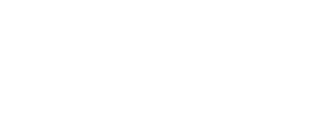 Gold Microsoft Partner