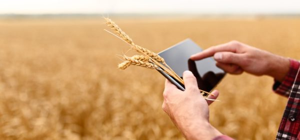 Brochure CallioAgri – ERP Agricole