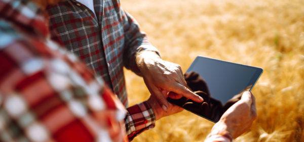 La cybersécurité au cœur des coopératives et négoces agricoles