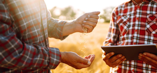 Pourquoi la mise en place d’un ERP est l’une des priorités des coopératives et négoces agricoles ?