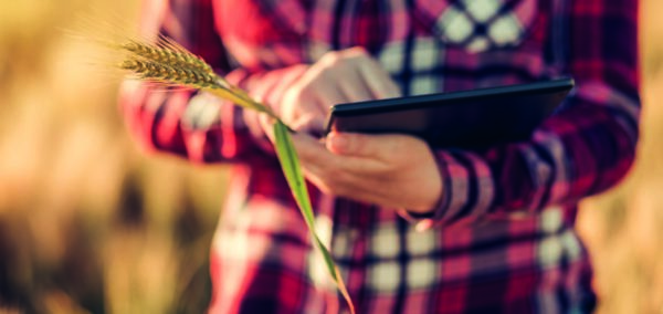 Comment gérer efficacement les commandes et devis depuis Outlook ?