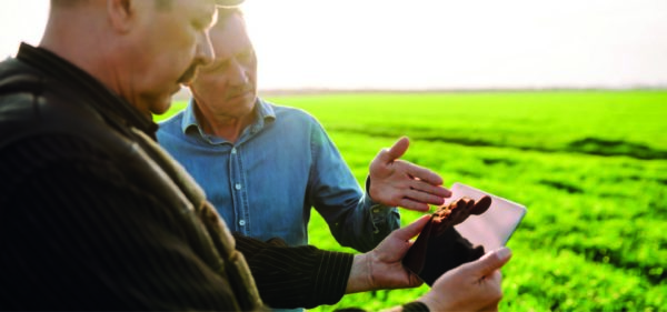 Peut-on gérer les contrats filières dans la solution CallioAgri ?